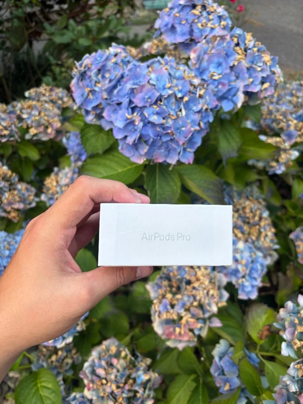 Apple AirPods Pro (2nd generation) With MagSafe Charging Case (USB-C)